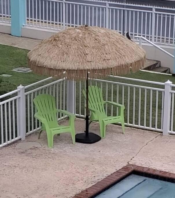 Summer All Year! Oceanfront With Pool A/C Aguadilla Exterior foto